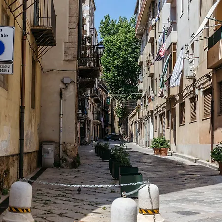 Harmony Bb Palermo